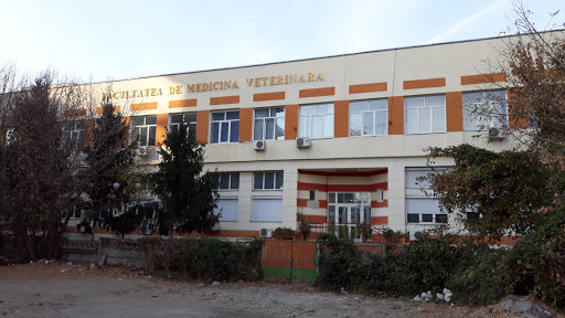 Veterinary clinics in Bucharest