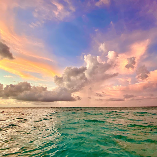 Travel Agency «BNT Travel Group», reviews and photos, 703 Brighton Beach Ave, Brooklyn, NY 11235, USA