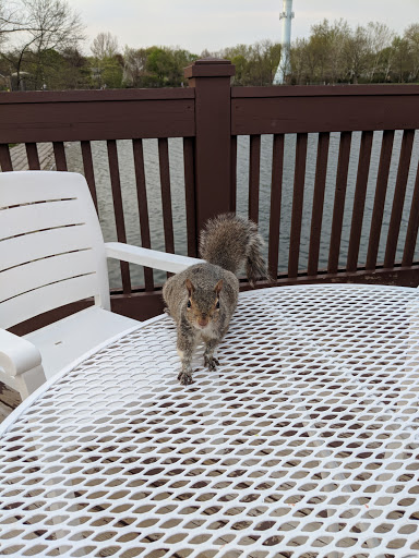 Golf Course «Twin Lakes Golf Course & Recreation Area», reviews and photos, 1200 E Lake Dr, Palatine, IL 60074, USA