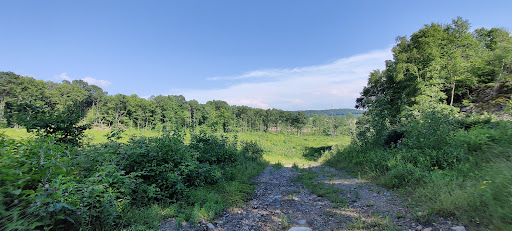 Furniture Store «Big Lots Distribution», reviews and photos, 50 Rausch Creek Rd, Tremont, PA 17981, USA