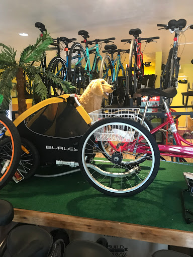 Bicycle Rental Service «Island Bike Shop», reviews and photos, 1095 Bald Eagle Dr, Marco Island, FL 34145, USA