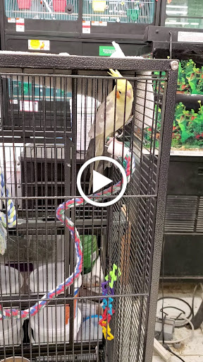 Pet Supply Store «Pet Supplies Plus», reviews and photos, 2155 Delaware Ave, Buffalo, NY 14216, USA