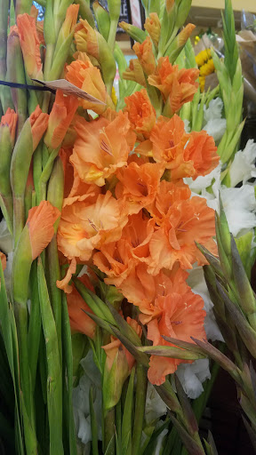 Grocery Store «Safeway», reviews and photos, 1500 Coburg Rd, Eugene, OR 97401, USA