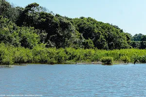 Jacarenema Ecological Reserve image