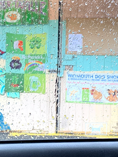 Pet Groomer «Weymouth Dog Shop», reviews and photos, 1192 Washington St, East Weymouth, MA 02189, USA