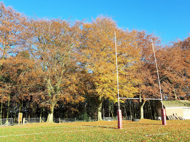 Reviews of Paviors Rugby Club in Nottingham - Sports Complex