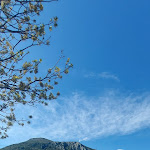 Photo n° 28 de l'avis de ghis.a fait le 15/04/2024 à 19:47 pour Hôtel du Lachens à La Bastide