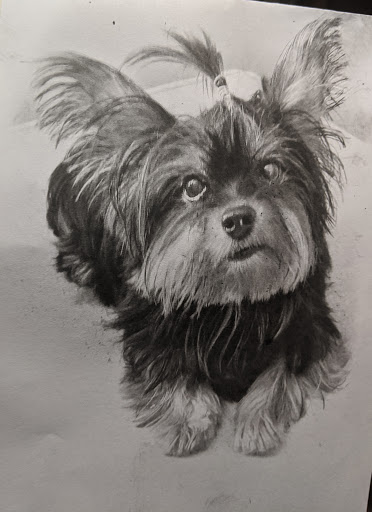 Tattoo Shop «Fallen Sparrow Tattoo Co», reviews and photos, 5049 W Irlo Bronson Memorial Hwy, Kissimmee, FL 34746, USA