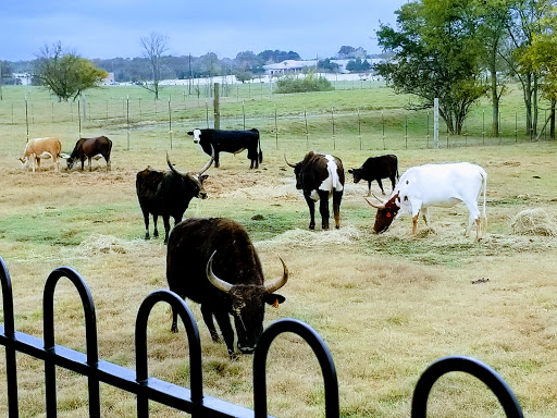 Zoo «Tupelo Buffalo Park & Zoo», reviews and photos, 2272 Coley Rd, Tupelo, MS 38801, USA