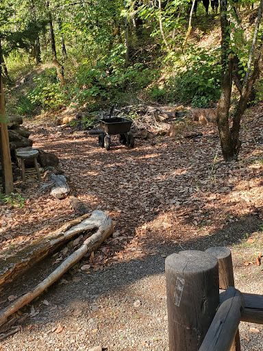 Tourist Attraction «Oregon Vortex», reviews and photos, 4303 Sardine Creek L Fork Rd, Gold Hill, OR 97525, USA