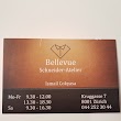 Bellevue Schneider-Atelier