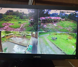 Ladang Bambu Classik photo