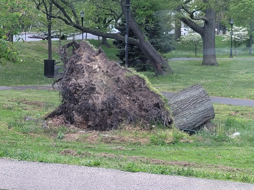 Park «Baisley Pond Park», reviews and photos, Baisley Blvd, Jamaica, NY 11434, USA