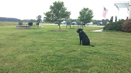 Vineyard «Chatham Vineyards & Winery», reviews and photos, 9232 Chatham Rd, Machipongo, VA 23405, USA