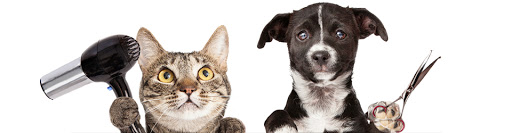 Pet Groomer «Red Bandana 4 Pets», reviews and photos, 925 Pioneer Rd, Draper, UT 84020, USA