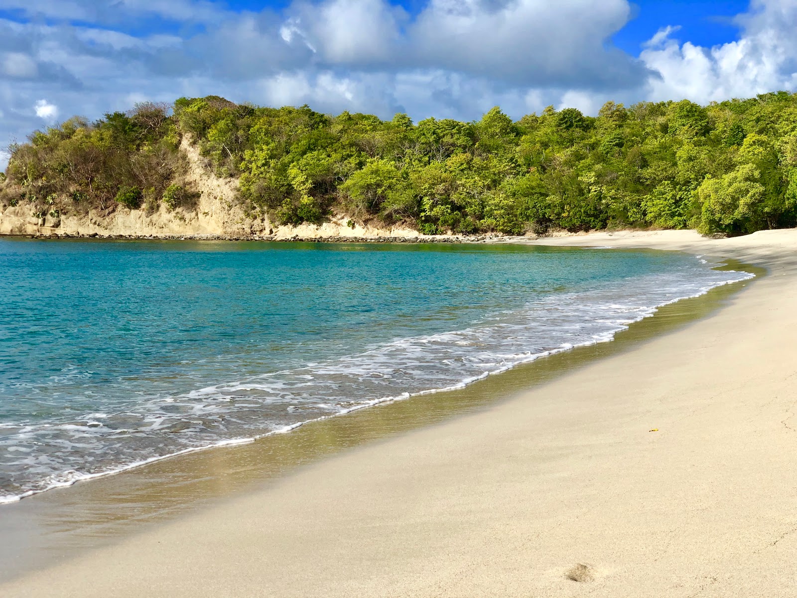 Photo of Anse La Roche Bay beach with bright sand surface