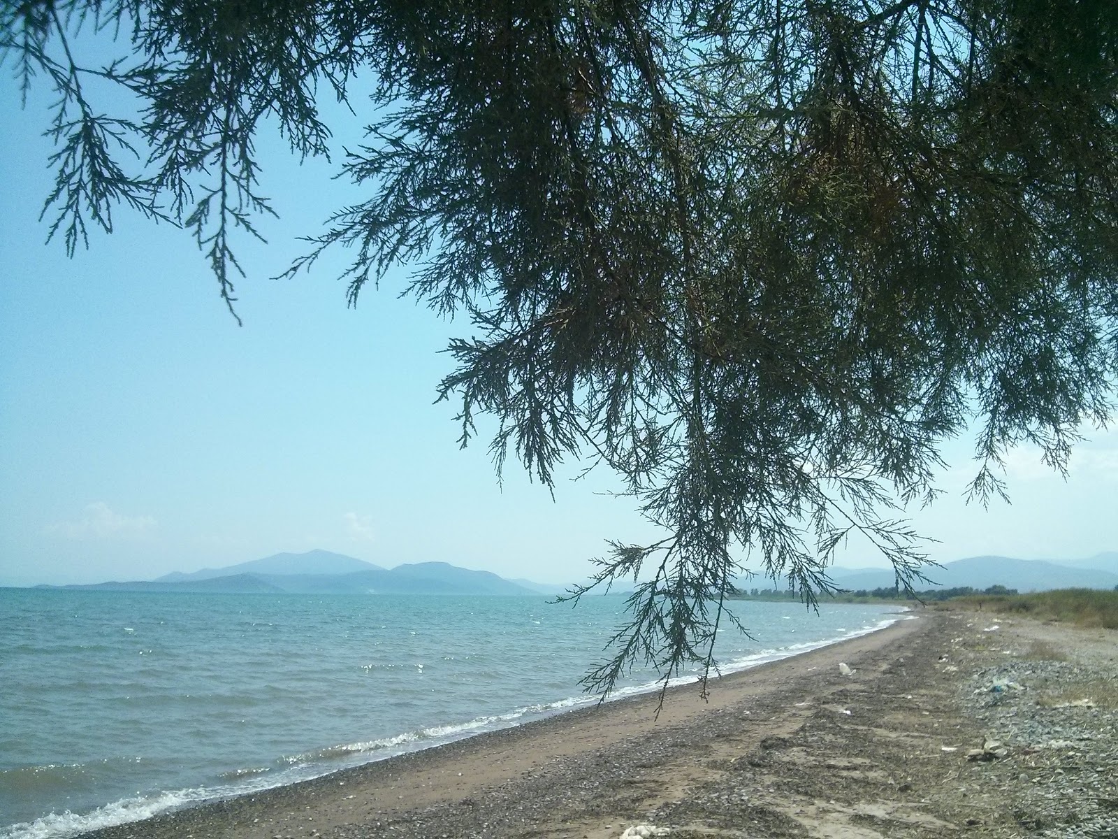 Foto von Dimitriada beach befindet sich in natürlicher umgebung