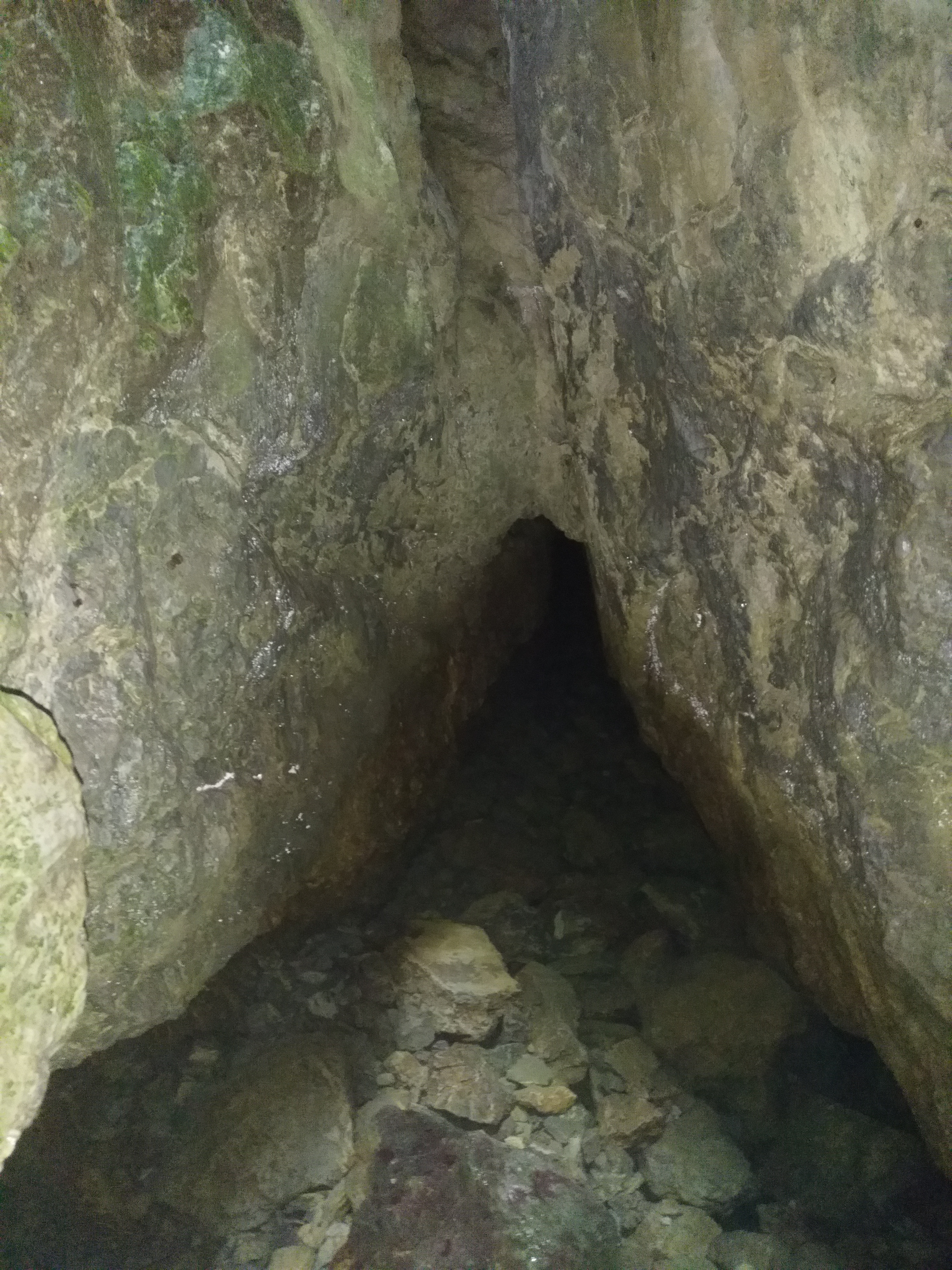 Photo n° 1 de l'avis de herve.i fait le 12/08/2019 à 12:47