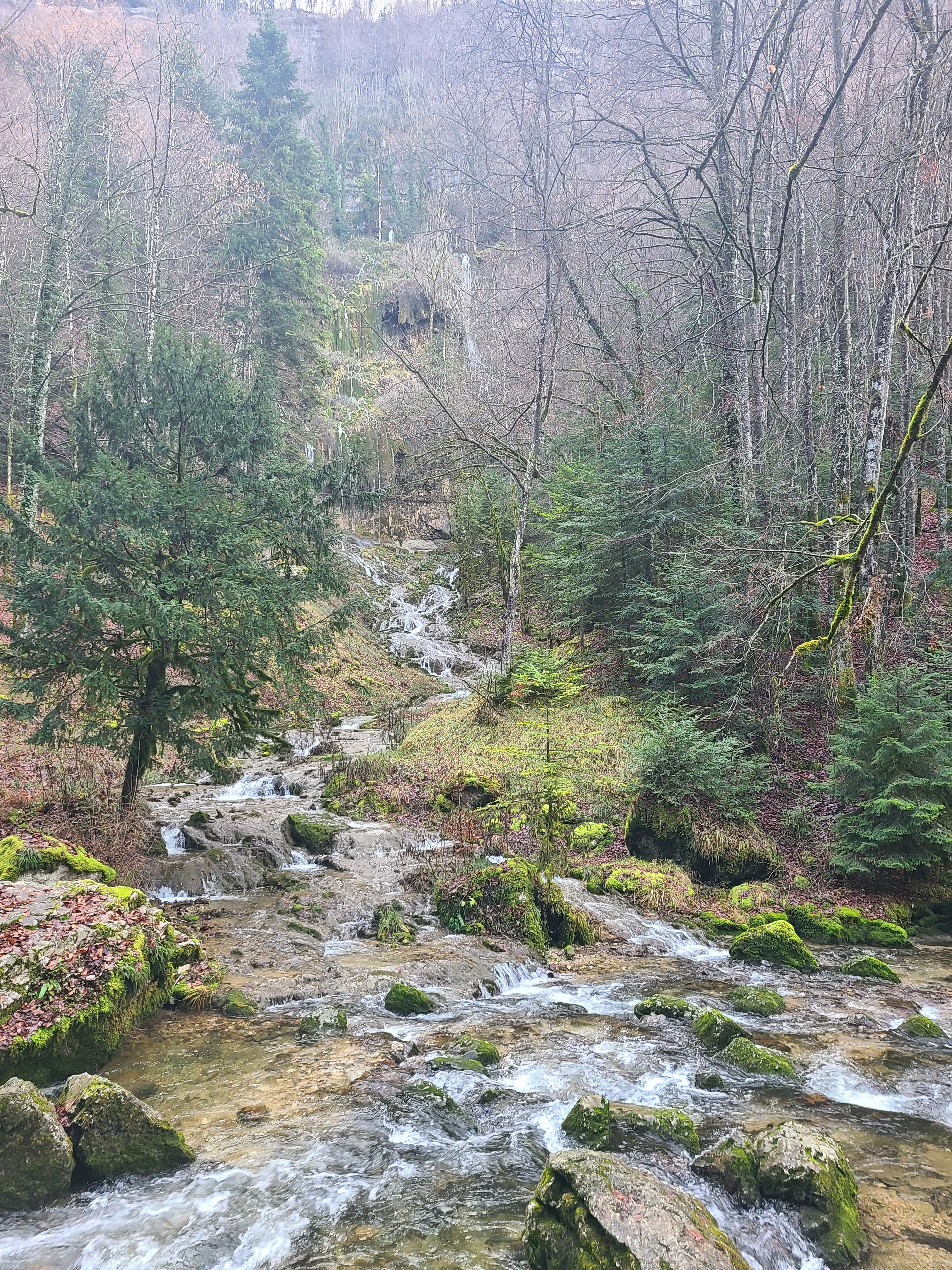 Photo n° 4 de l'avis de Mon.e fait le 10/01/2023 à 12:46