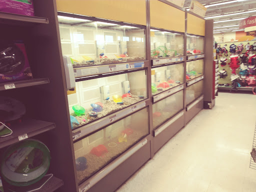 Pet Supply Store «Petco Animal Supplies», reviews and photos, 41 Narrows Shopping Center, Edwardsville, PA 18704, USA