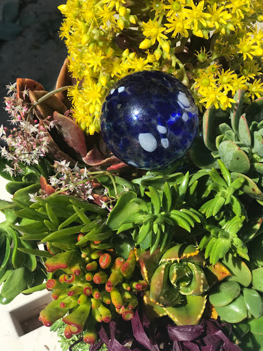 Gift Shop «Little Shop of Flowers», reviews and photos, 1655 W Grand Ave, Grover Beach, CA 93433, USA