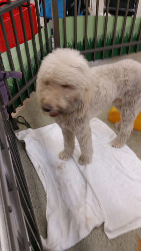 Pet Supply Store «Pet Food Express», reviews and photos, 9153 W Olympic Blvd, Beverly Hills, CA 90212, USA