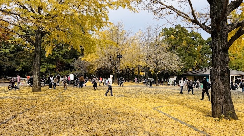 ひかりが丘公園