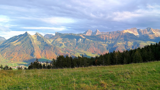 Rue des Combettè 16, 1661 Le Pâquier