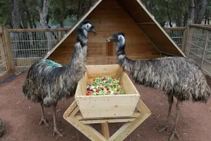 Antalya Zoo image