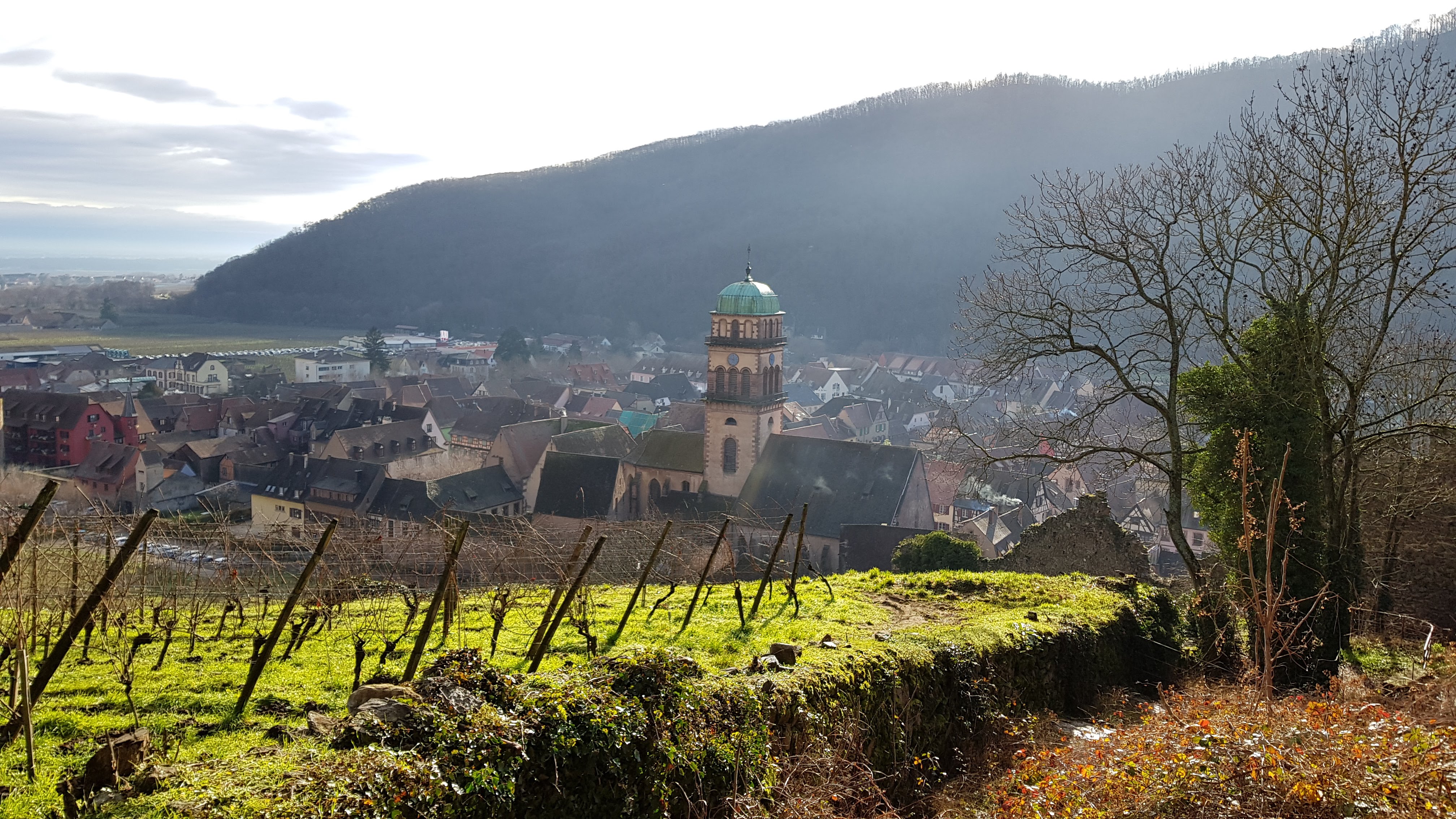 Photo n° 22 de l'avis de The-Fox-Furie.o fait le 22/12/2019 à 16:57