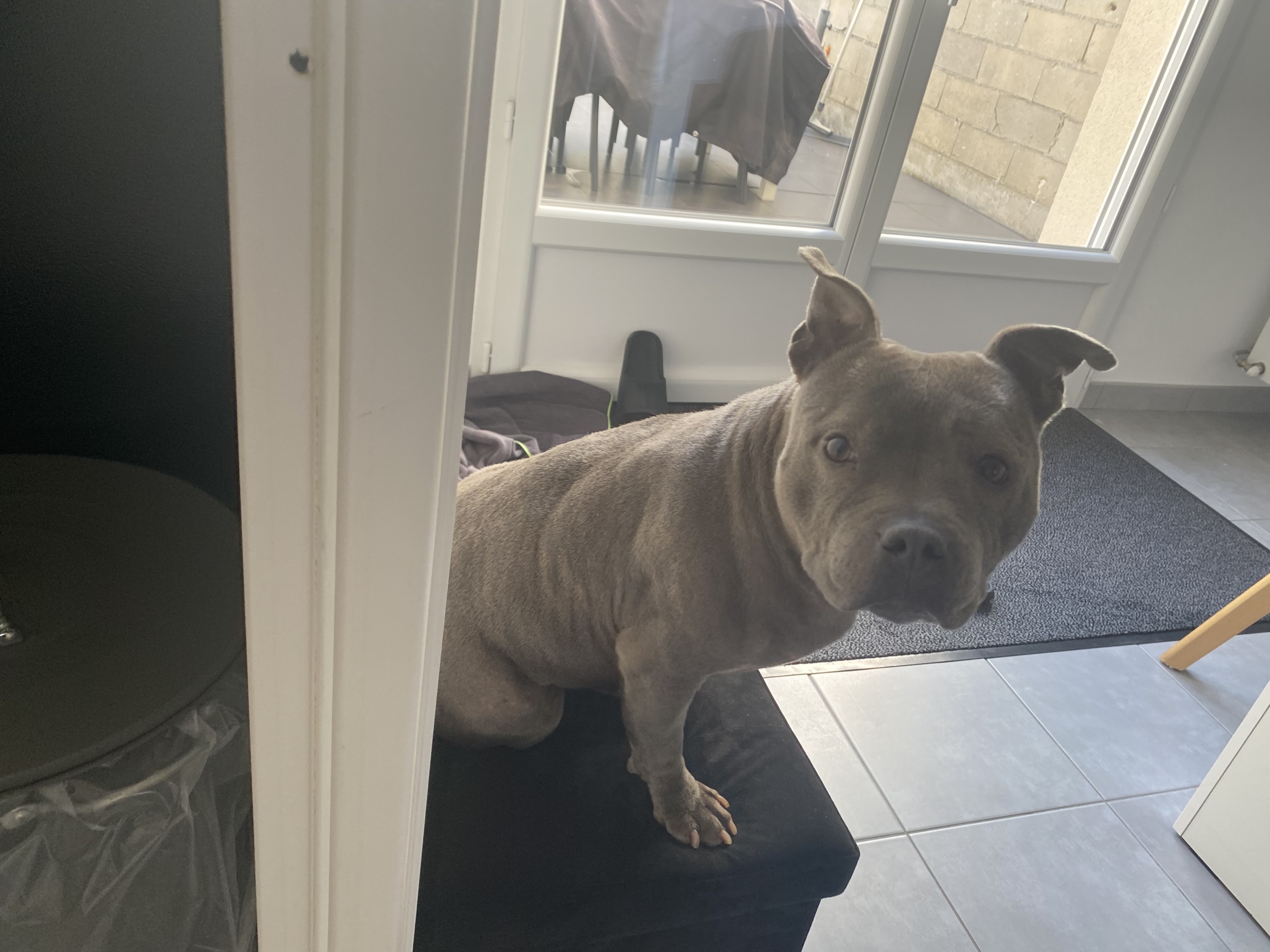 Photo n° 2 de l'avis de Thierry.l fait le 03/12/2023 à 18:53