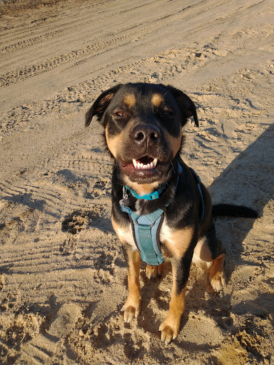 Pet Supply Store «Pet Supplies Plus», reviews and photos, 400 Lowell Ave Suite 14, Haverhill, MA 01832, USA