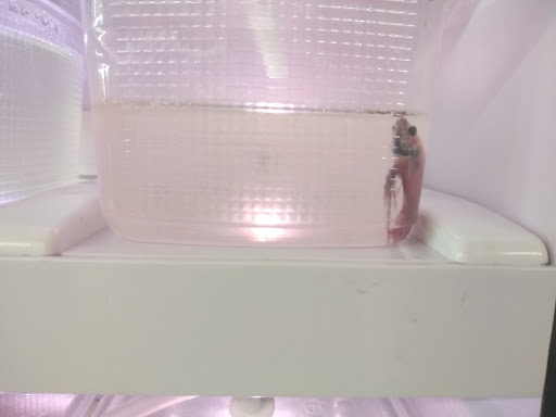 Pet Supply Store «Pet Supermarket», reviews and photos, 2314 Lebanon Road, Nashville, TN 37214, USA