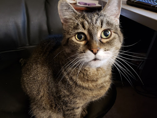 2025 George Washington Memorial Hwy, Yorktown, VA 23693, USA