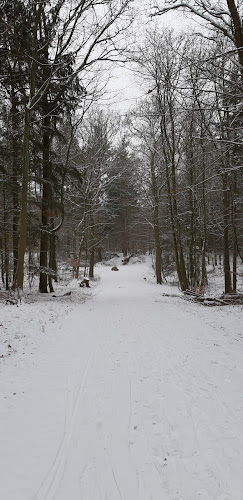 Hillerødvejen 43, 3480 Fredensborg, Danmark