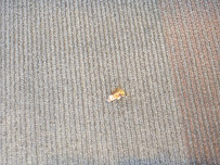 CareFirst Urgent Care - Boulder and Nellis - Photo 8 - Car repair in Las Vegas, NV, Henderson