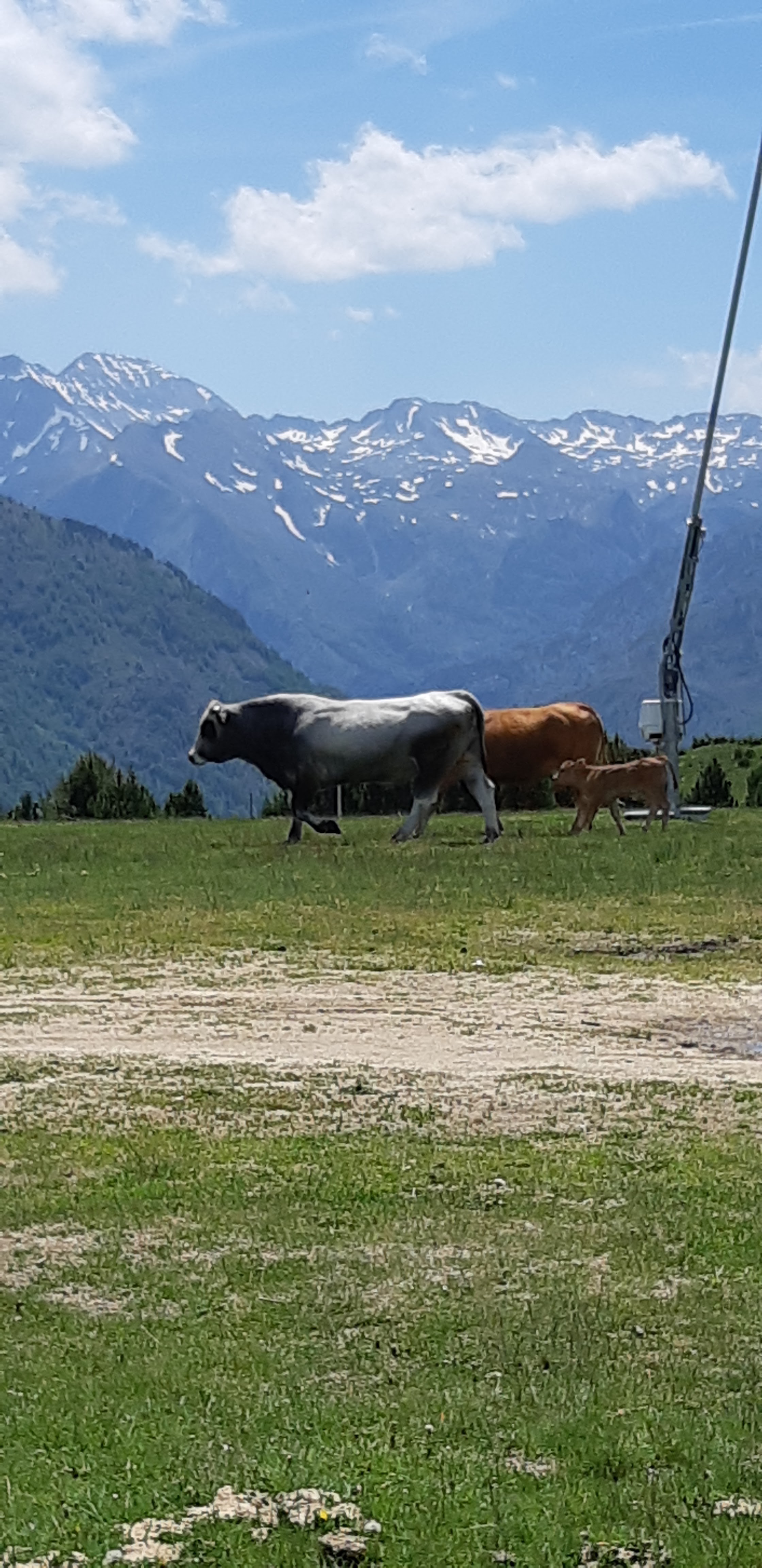 Photo n° 16 de l'avis de Yannick.a fait le 23/06/2019 à 21:16