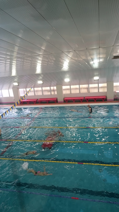 桜泳会スイミングスクール