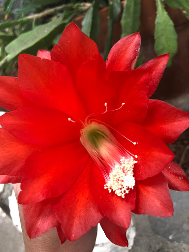 Hotel «Villa Vosilla», reviews and photos, 6302 Main St, Tannersville, NY 12485, USA