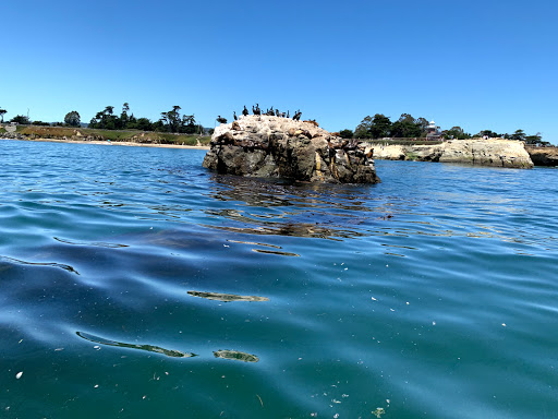 Canoe & Kayak Rental Service «Venture Quest Kayaking», reviews and photos, 2 Municipal Wharf, Santa Cruz, CA 95060, USA