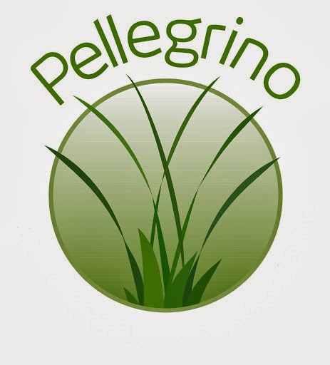 England Pellegrino