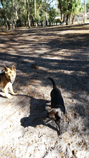 Dog Park «Arbor Dog Park», reviews and photos, 1405 N Grant St, Longwood, FL 32750, USA