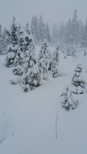 Park «Marine View Park», reviews and photos, 20945 Marine View Dr SW, Normandy Park, WA 98166, USA