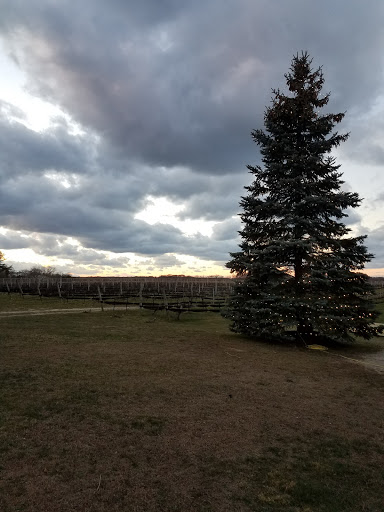 Winery «Paumanok Vineyards», reviews and photos, 1074 Main Rd, Aquebogue, NY 11931, USA