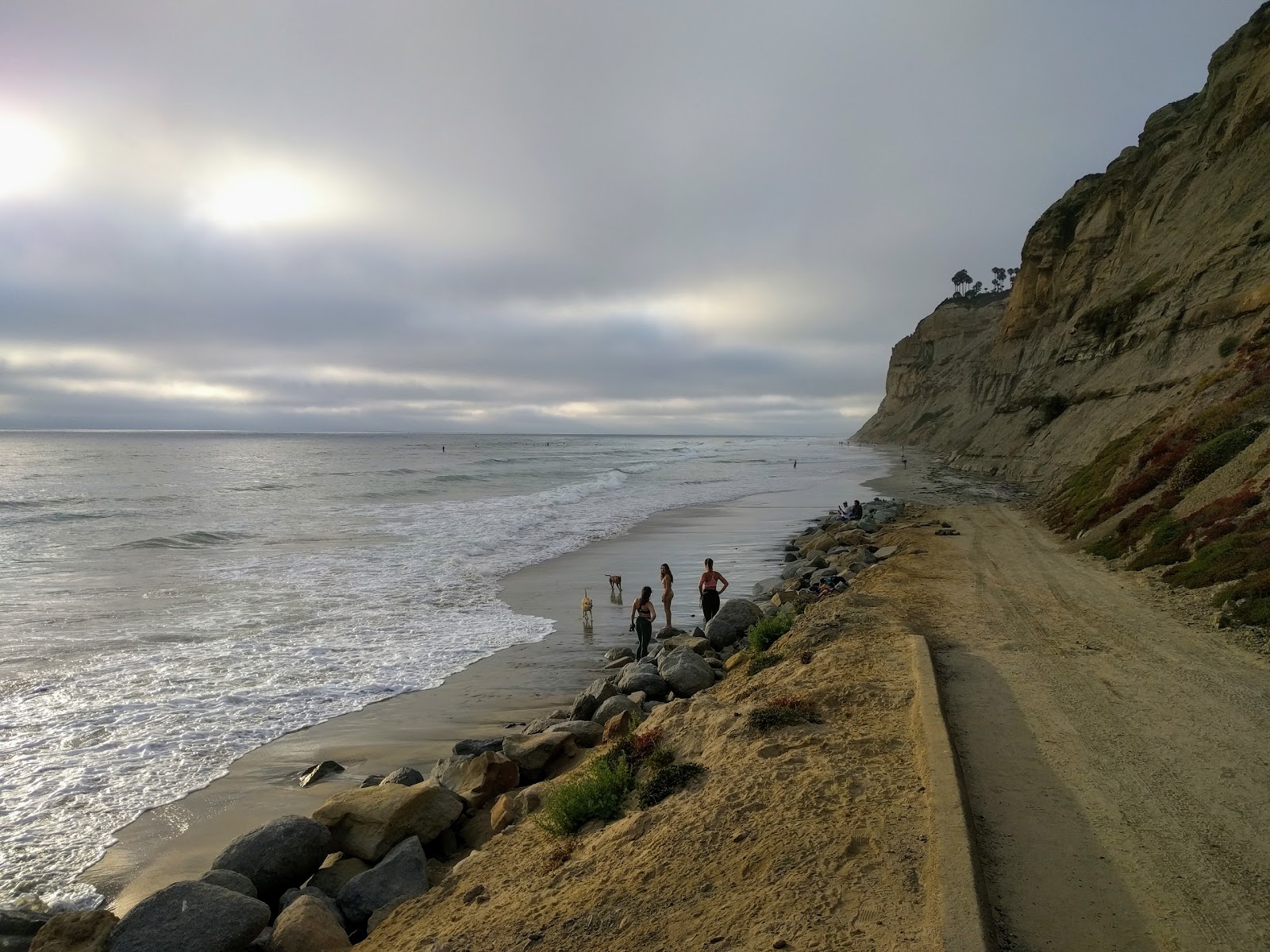 Photo of Torrey Pines City beach with very clean level of cleanliness