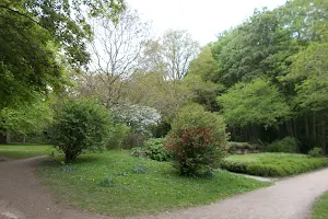 Diederichsen Park image