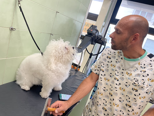 Pensioni per cani e dog hotel a La Casa Dei Cuccioli