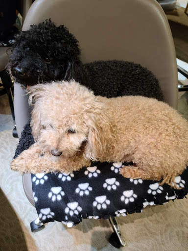 Jeweler «L T Denny Jewelers», reviews and photos, 515 Occidental Ave S, Seattle, WA 98104, USA