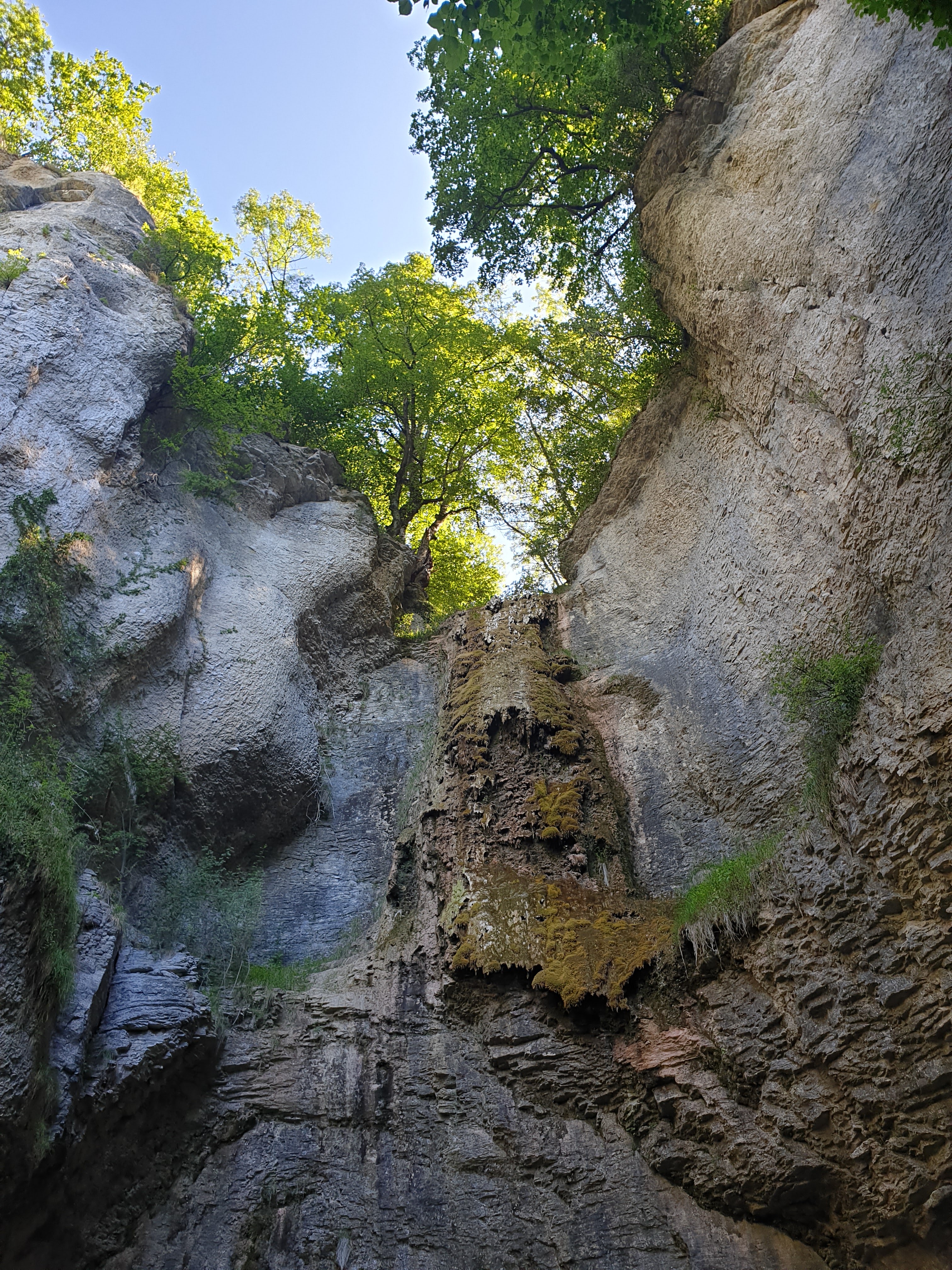 Photo n° 1 de l'avis de Ludivine.a fait le 11/07/2019 à 15:25