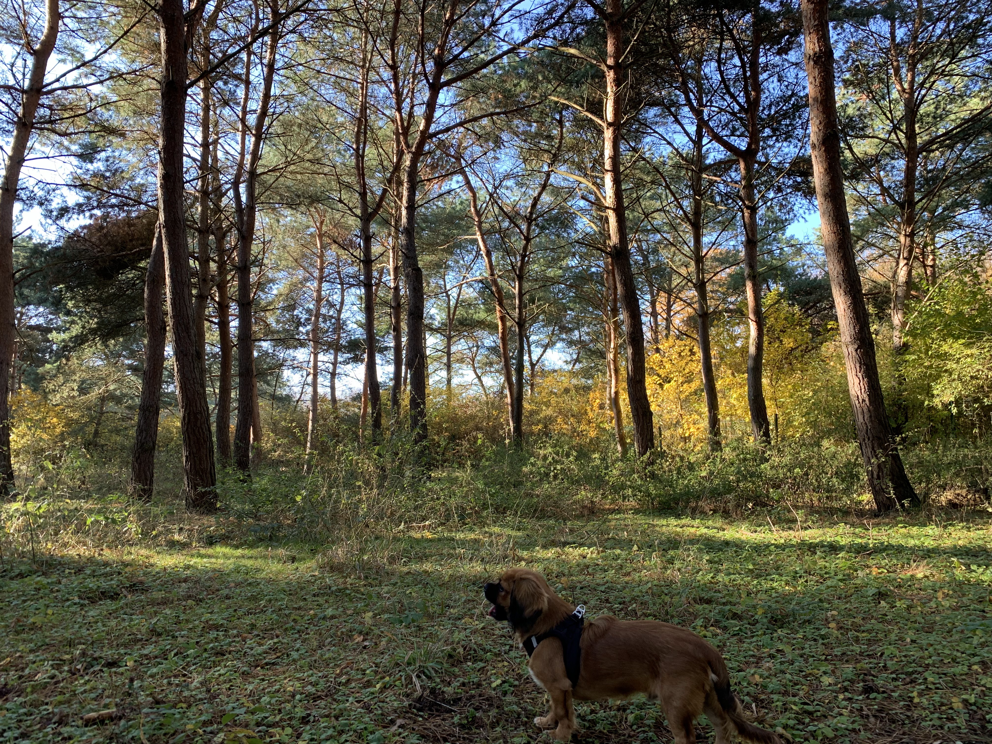 Photo n° 4 de l'avis de Emeline.r fait le 14/11/2018 à 17:57